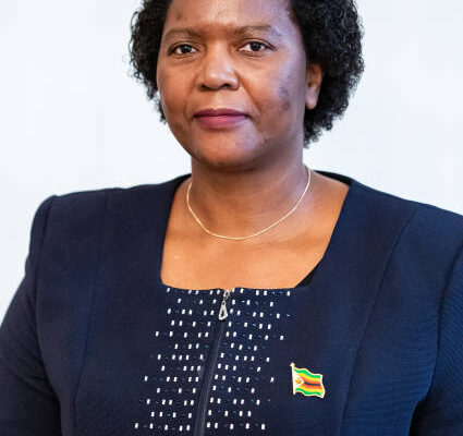 ambassador mashingaidze
