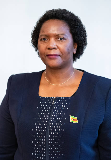 ambassador mashingaidze