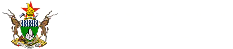 zimbabwe embassy in germany